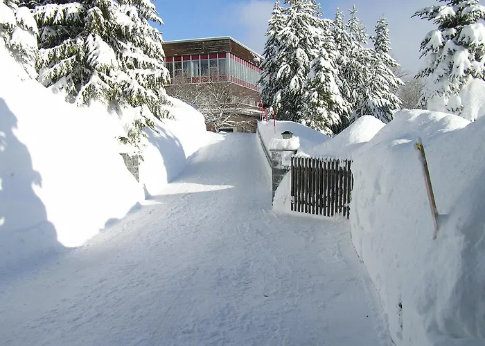 Pension Am Zechengrund Oberwiesenthal